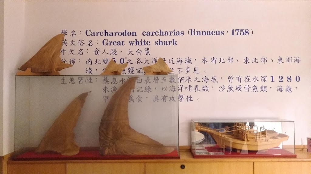 鯊魚博物館 的照片