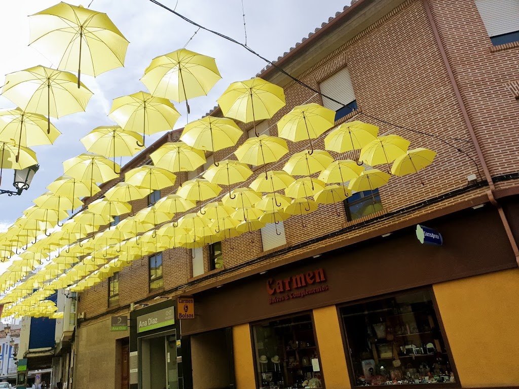 Bolsos Carmen & Complementos