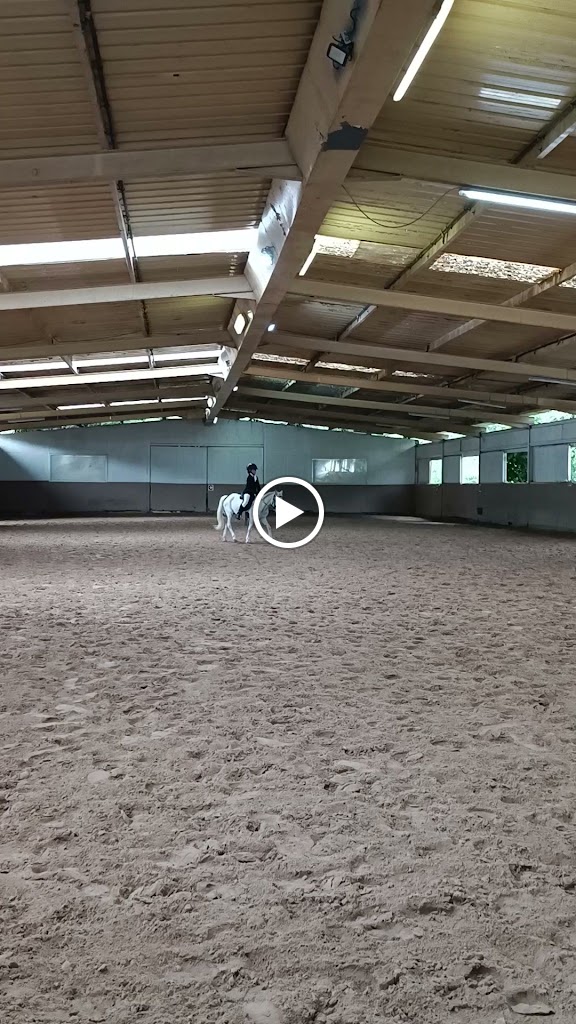 Club Hipic Valles — Caballo