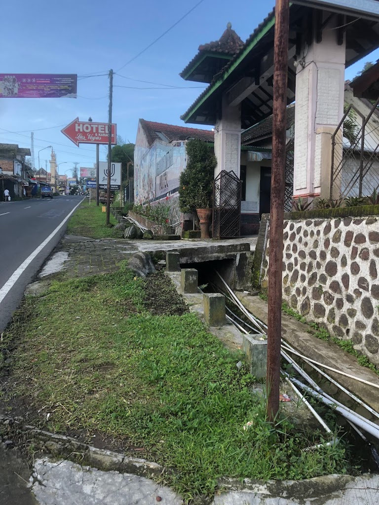 Camping Ground Pinus Cunthel