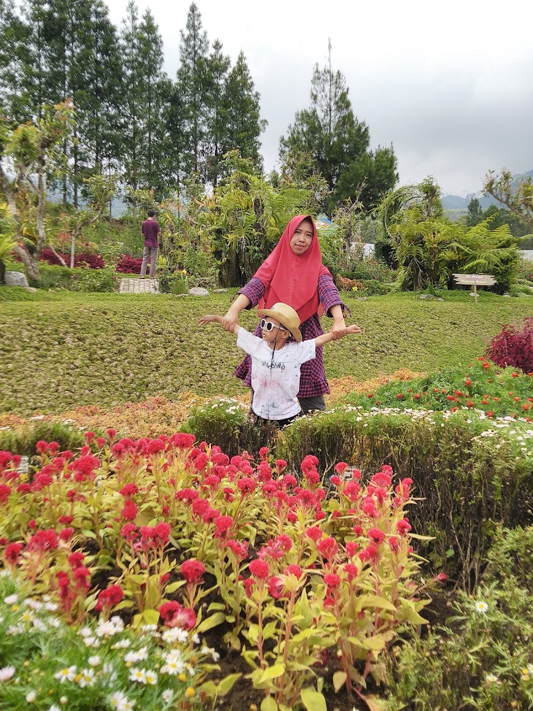 Wisata Taman Anggrek