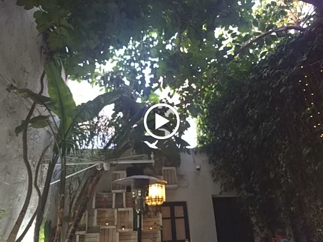 El Escondite de Conil — Videos