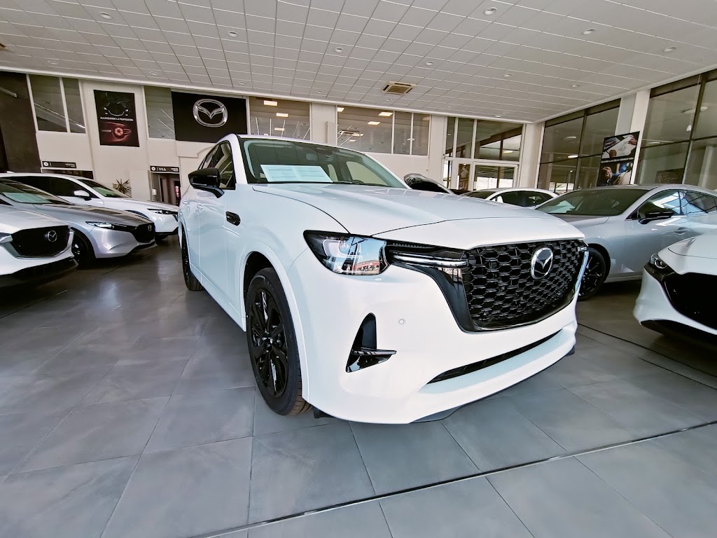 Indacentro - Mazda — Interior
