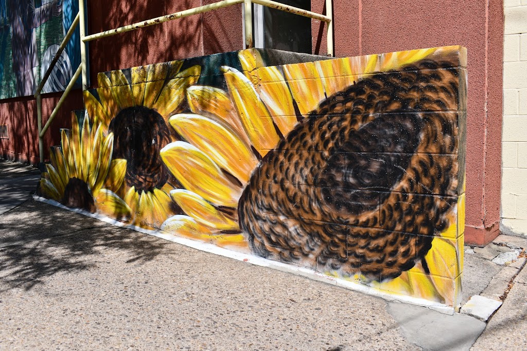  Sunflower Yoga & Fitness Center