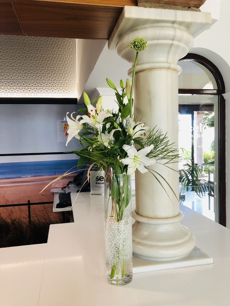 floristeria iris ayamonte — Interior
