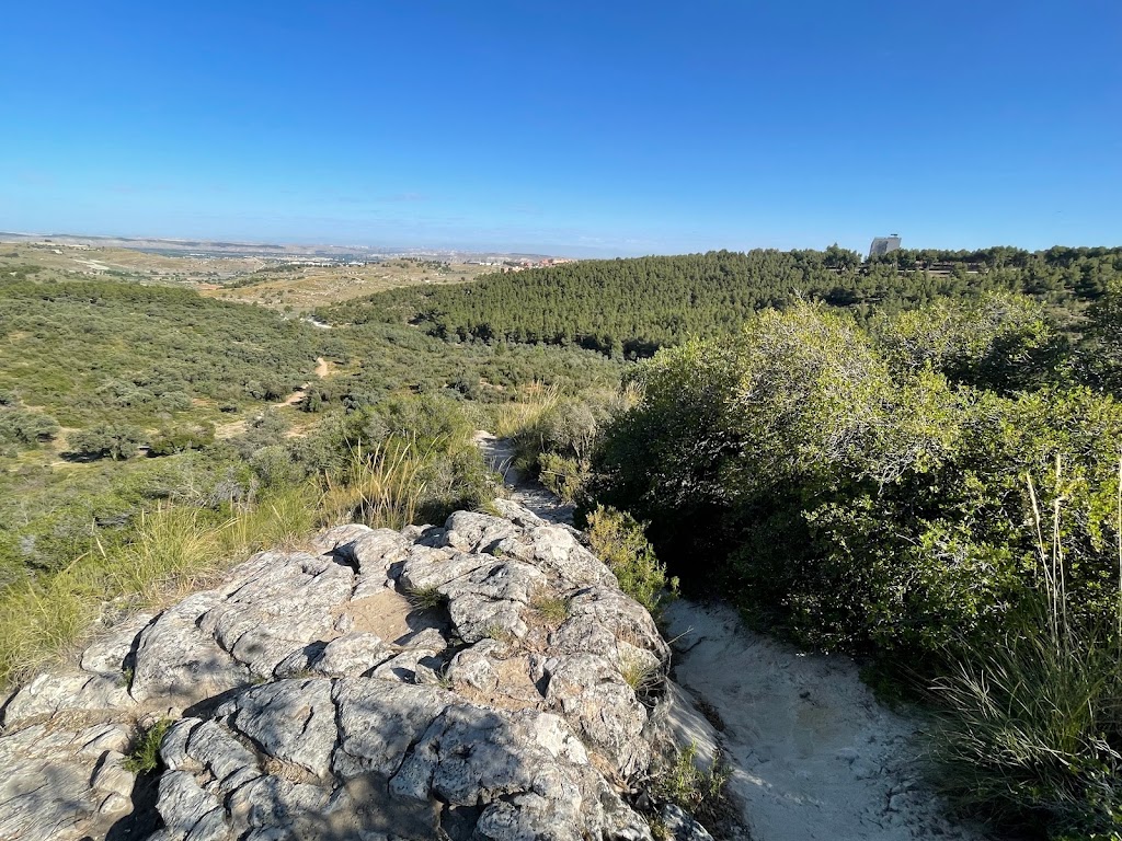Mirador Dehesa del Carrascal