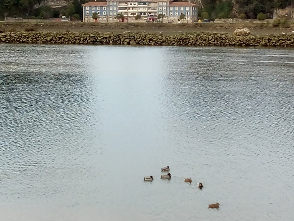 Colegio Oficial de Fisioterapeutas del Pais Vasco