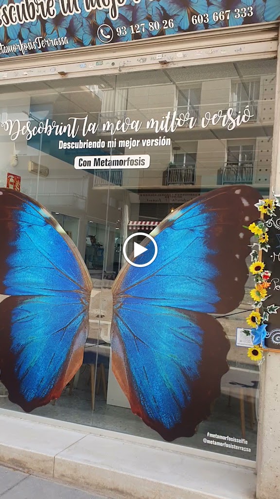 Metamorfosis — Del propietario