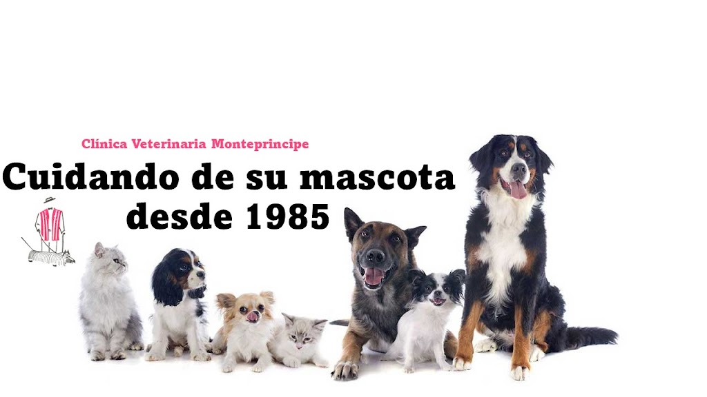 Clinica Veterinaria Monteprincipe
