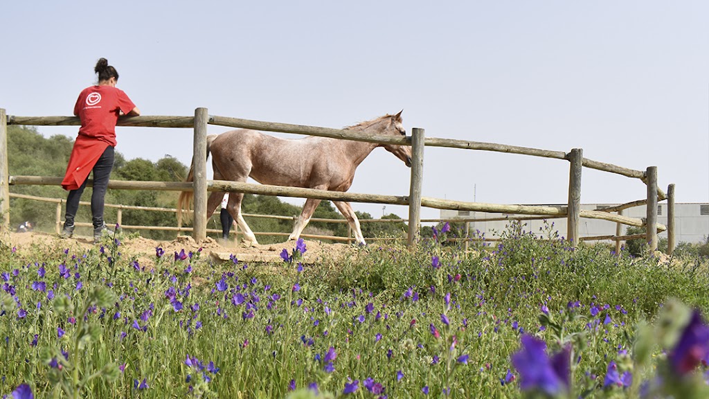 La Herradura Terapias Ecuestres