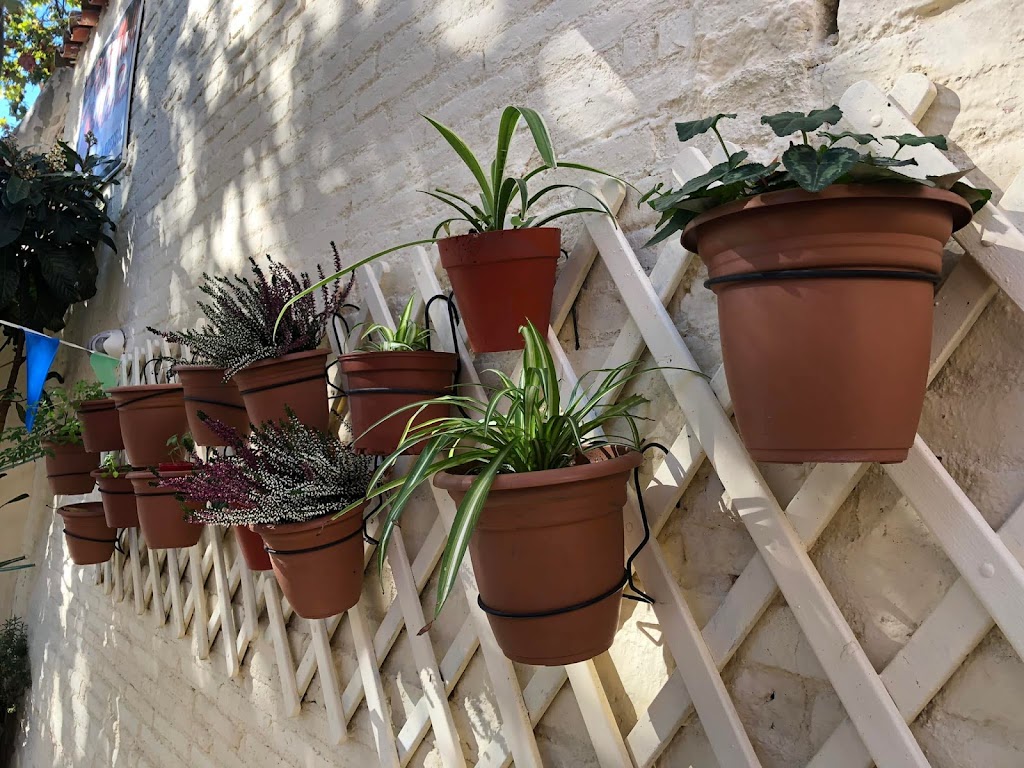 El Petit Moll de Can Pacia