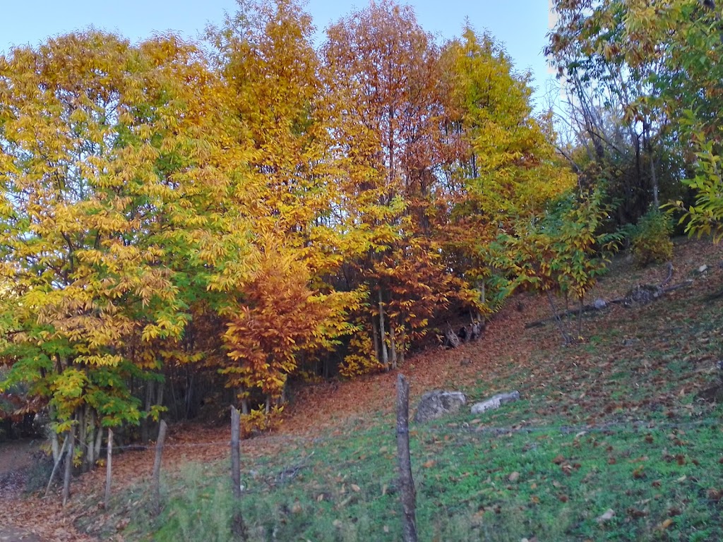 Chorrera De Las Calabazas