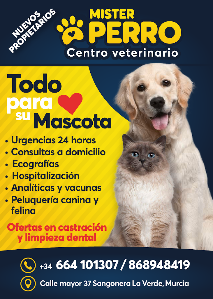 Centro Veterinario Mister Perro — Gato
