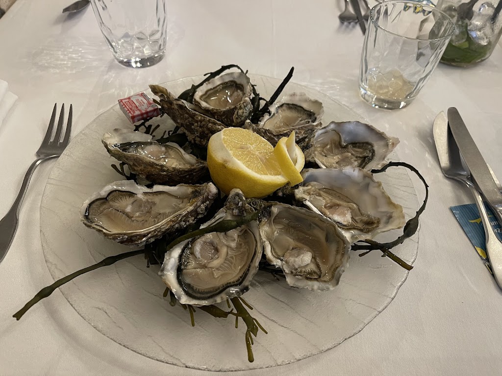 Oyster