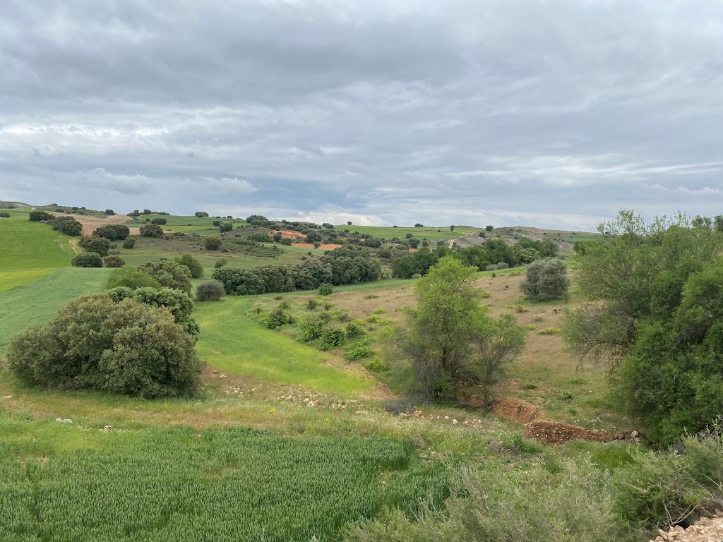 Ruta de Yebra a Pozo de Almoguera siguiendo el ferrocarril del Tajuna