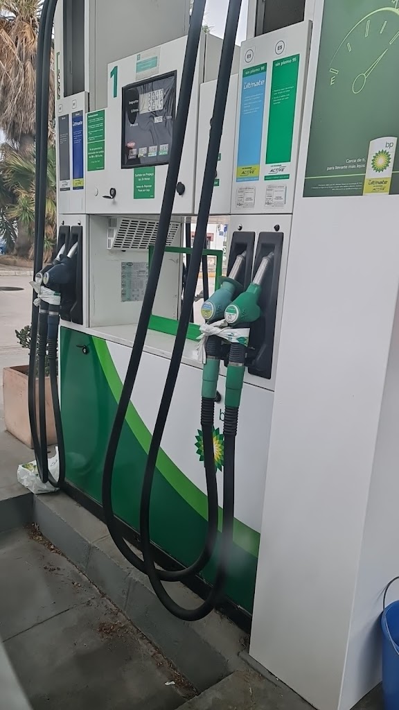 BP PINOS II: Estacion de servicio — Estacion de servicio