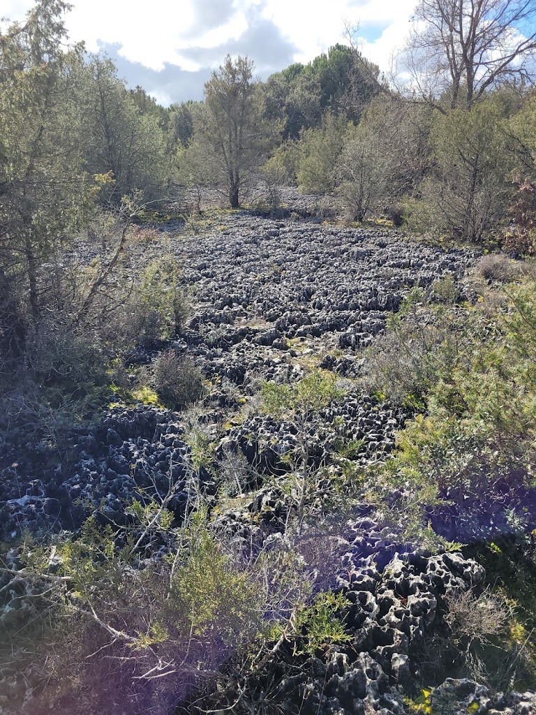 El Riscal