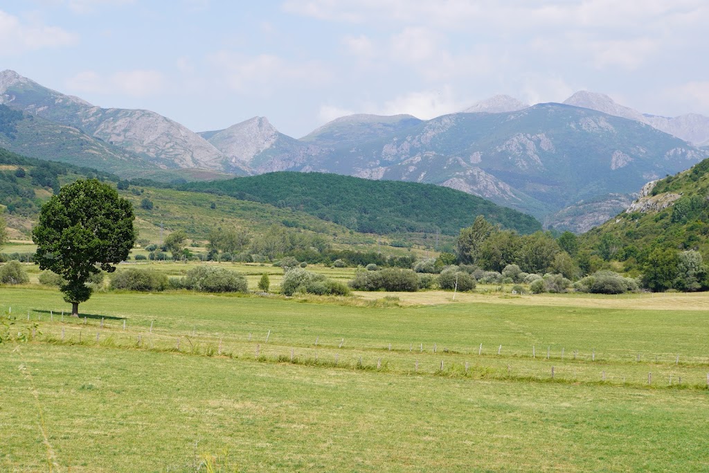 Senda de la Cervatina