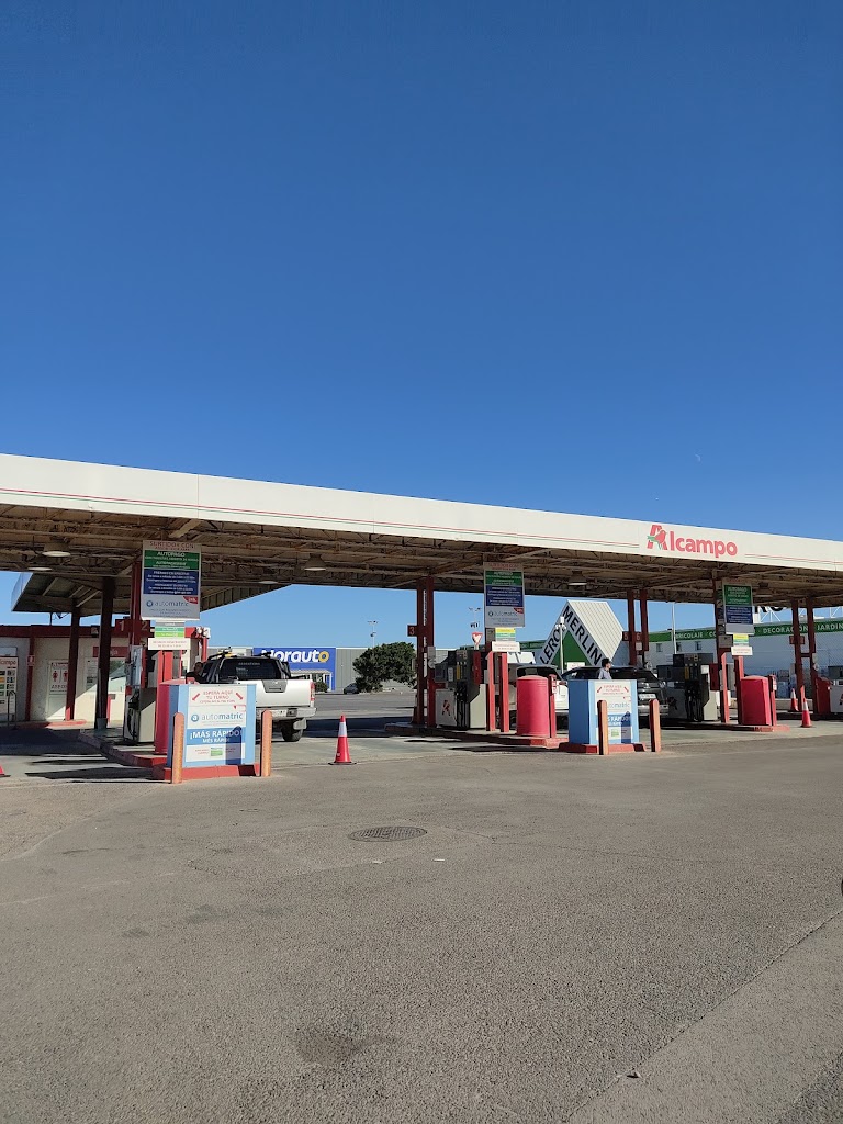 Gasolinera Alcampo — Surtidor de combustible