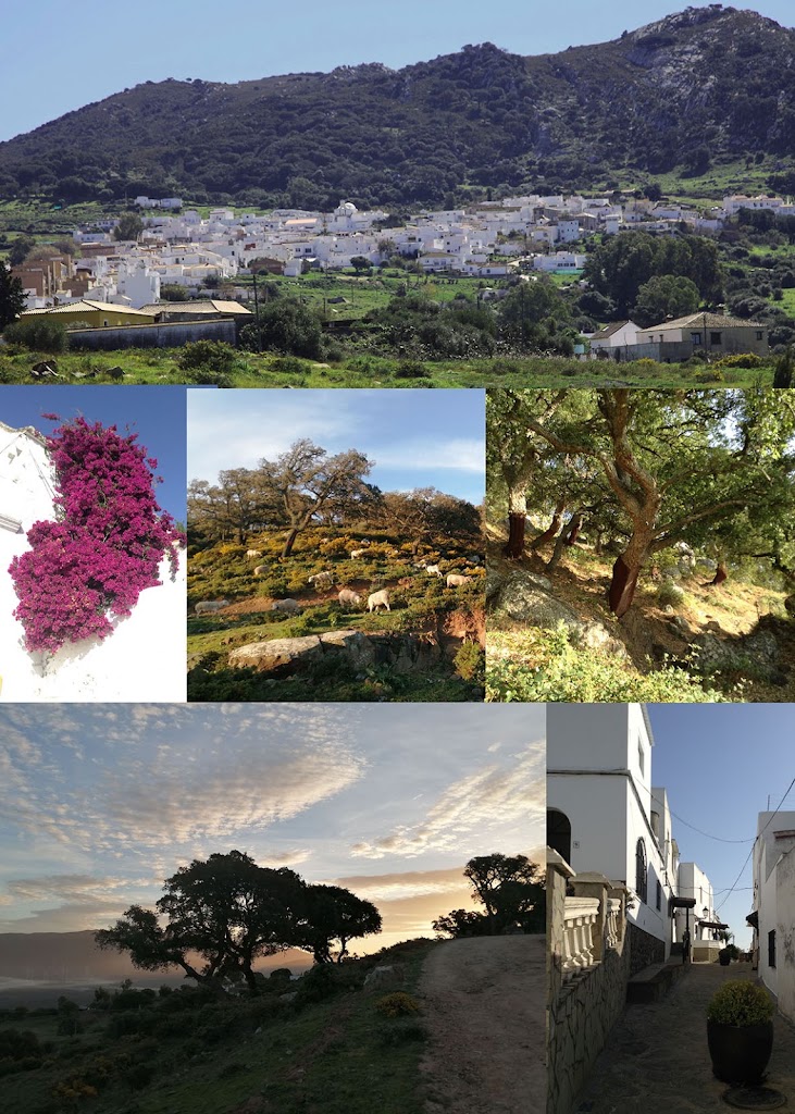 Residence Art Panorama — Del propietario