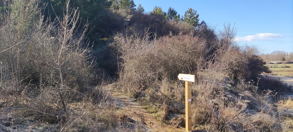 Ruta el castano y ruta transcandamia