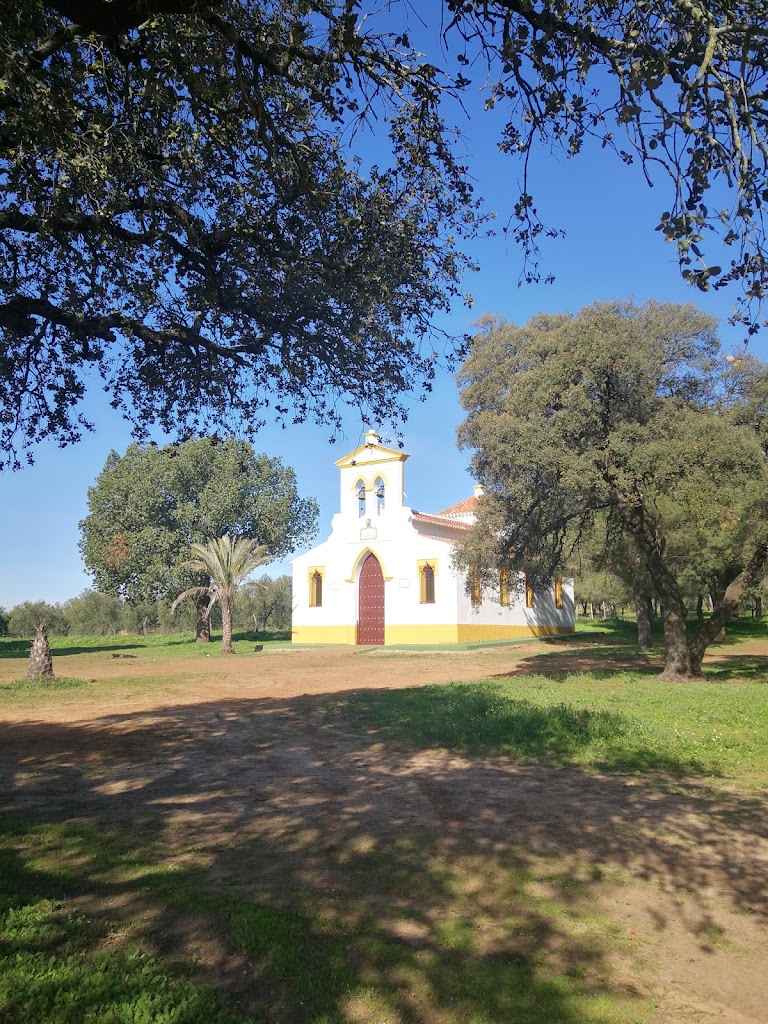 Camino de San Diego