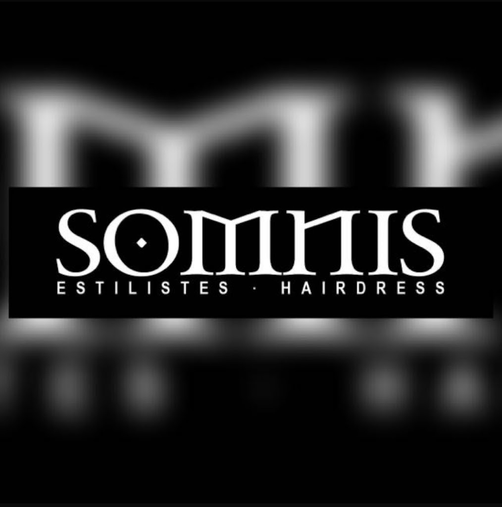 Somnis Estilistes Hairdress — Del propietario