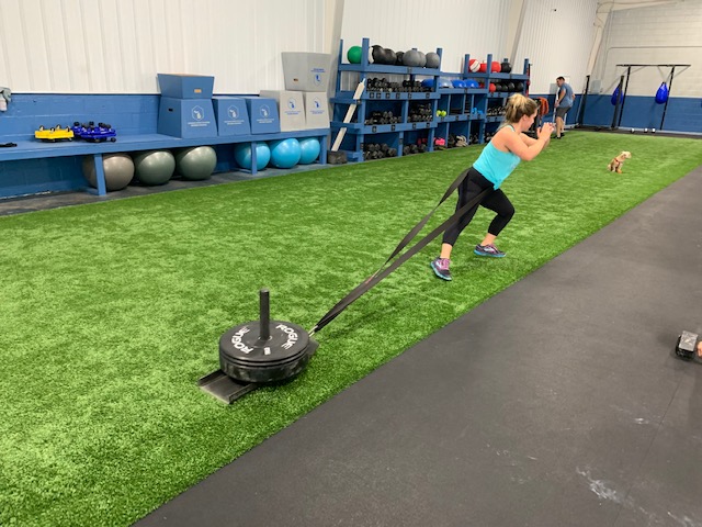  Michigan Hy-Fit Athletics