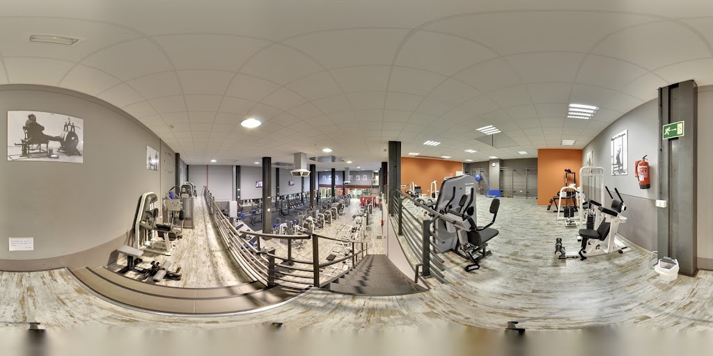 Sport Studio Gym — Del propietario