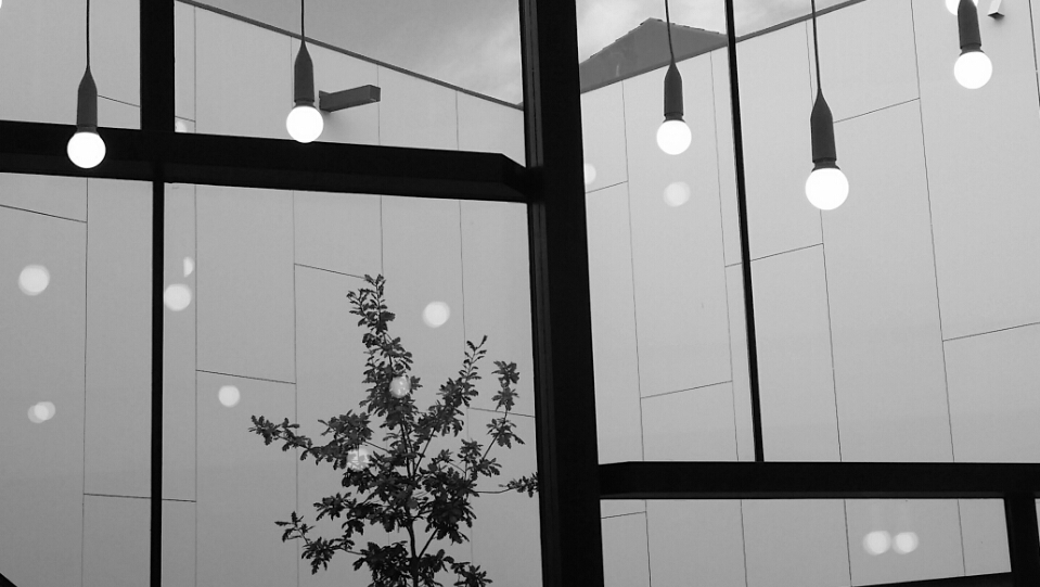 Biblioteca Publica Municipal Rego da Balsa de Carballo