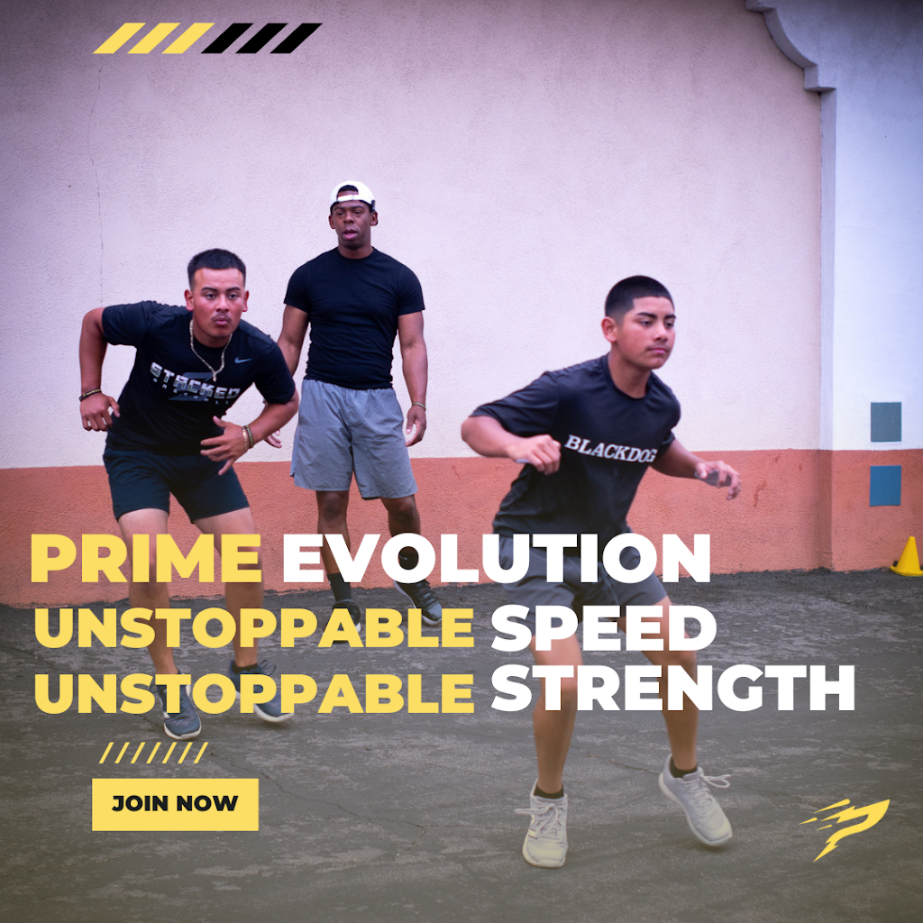  Prime Evolution Fitness & Sports Performance