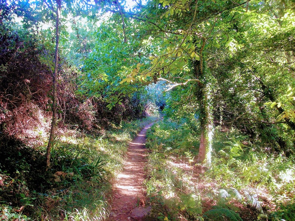 Sendero Galaroza - Castano del Robledo (Ribera de Jabugo)