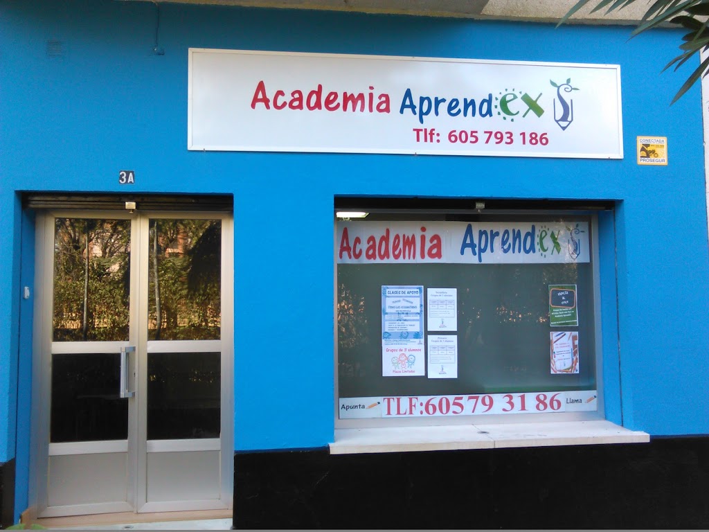 Academia Aprendex