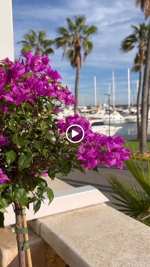 Restaurante Club Nautico — Del propietario