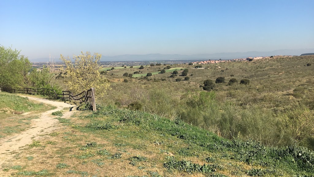 Business Intelligent