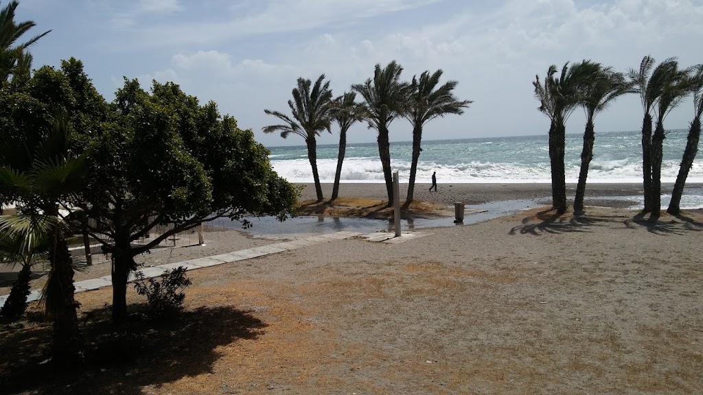 Cafe Bar Santa Maria — Del propietario