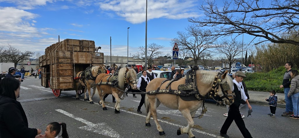 Festa de Sant Antoni Abat