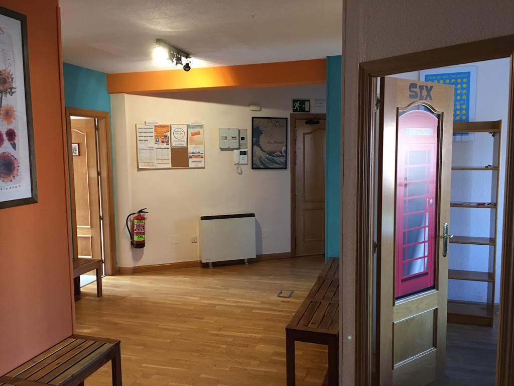 Summerhill English Lab — Del propietario