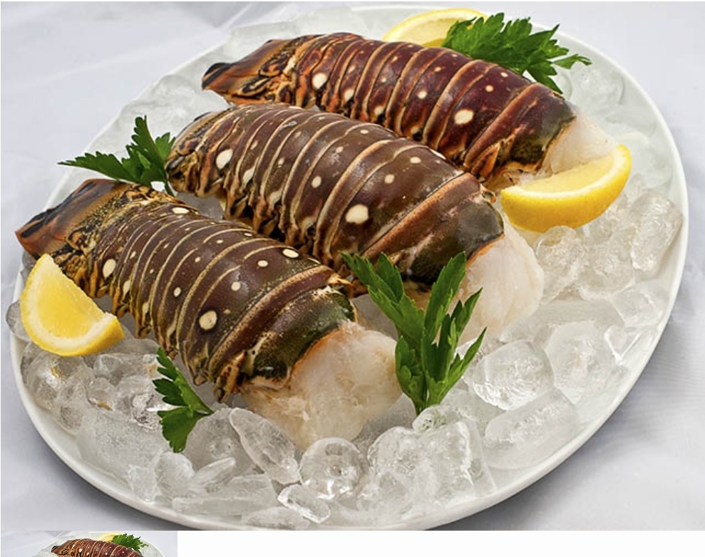 Lobster To Go