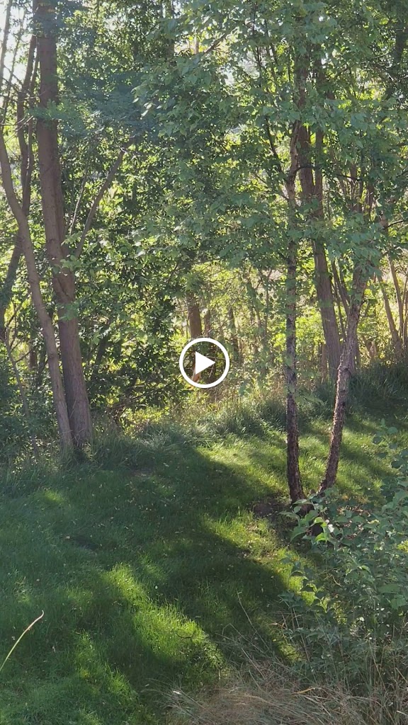  Spirit Rising Yoga & Meditation