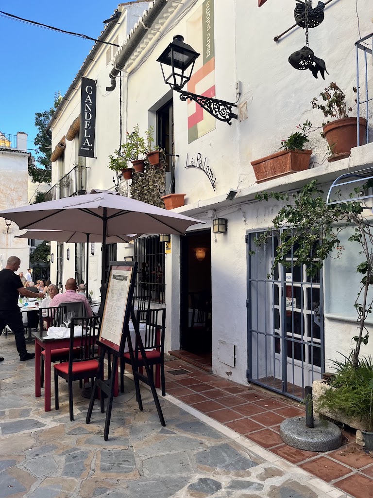 Bistro Paloma — Ambiente