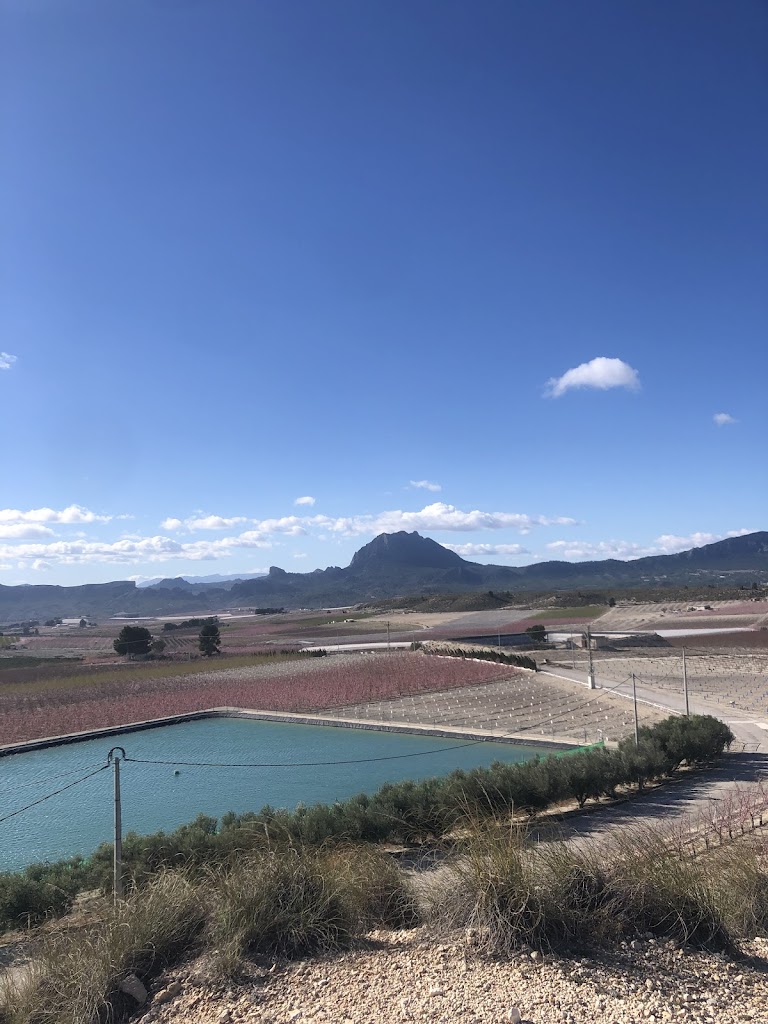 Mirador de la Floracion "La Macetua"