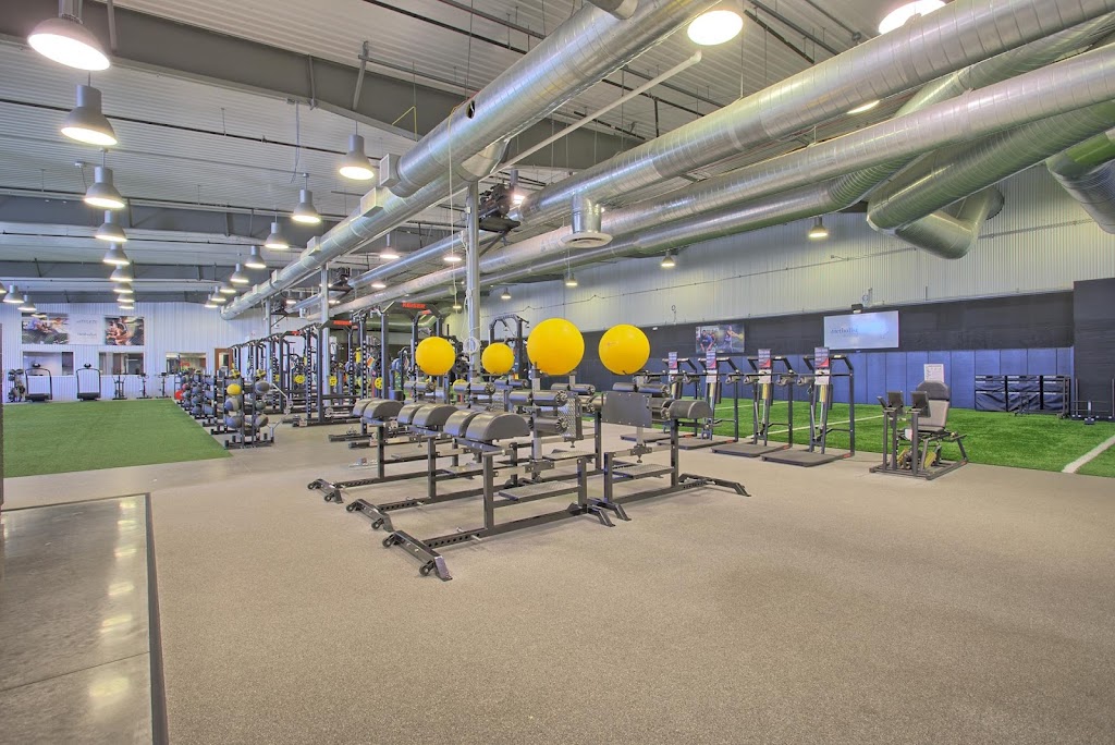  Athlete Training and Health - Spring/Klein