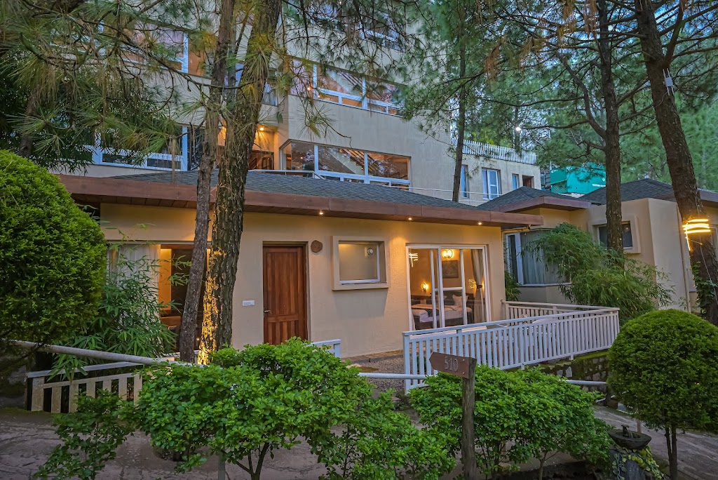 Jungle Lodge Resorts