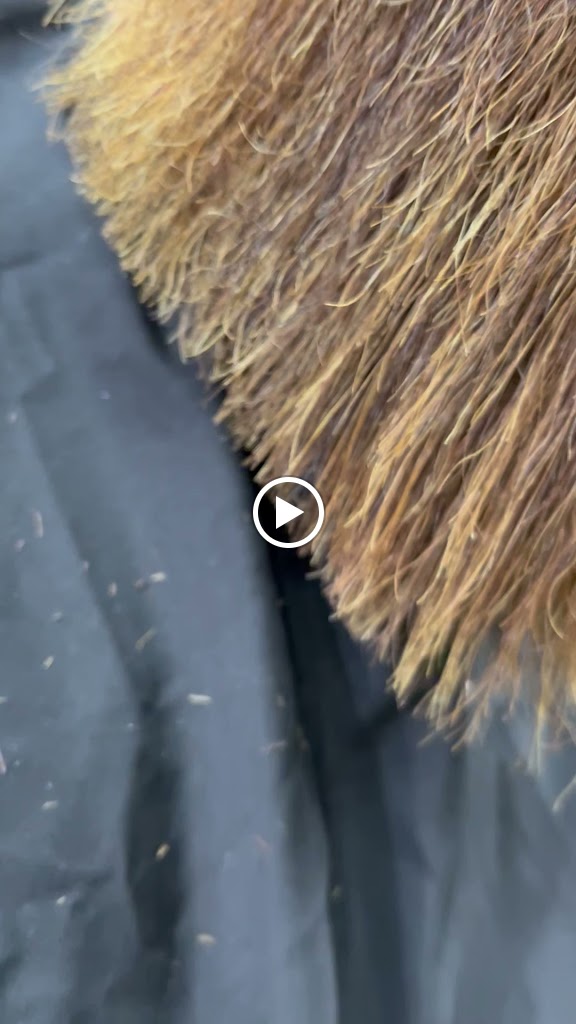 AG Peluqueros — Videos
