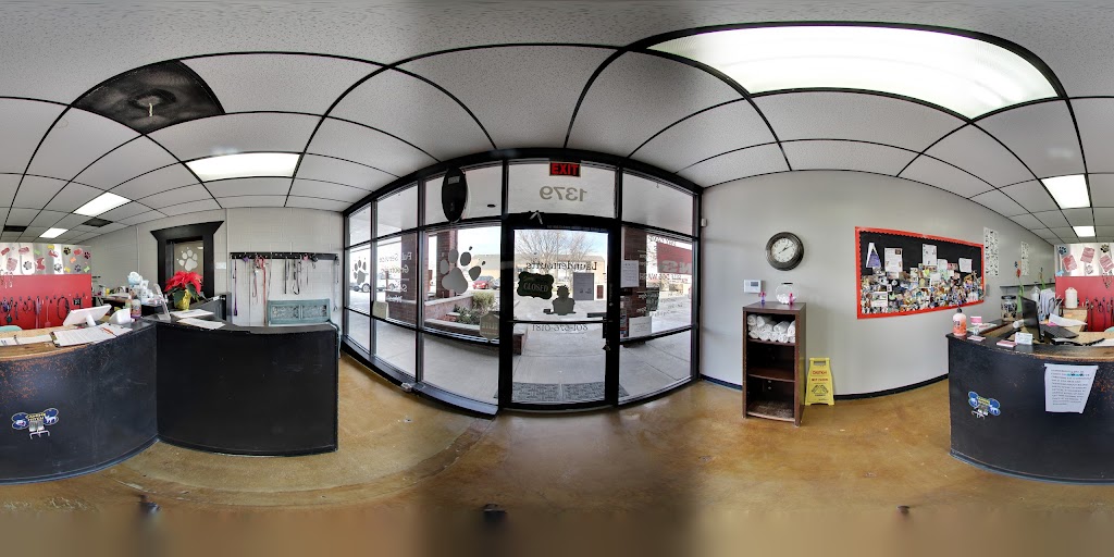 Street View & 360°