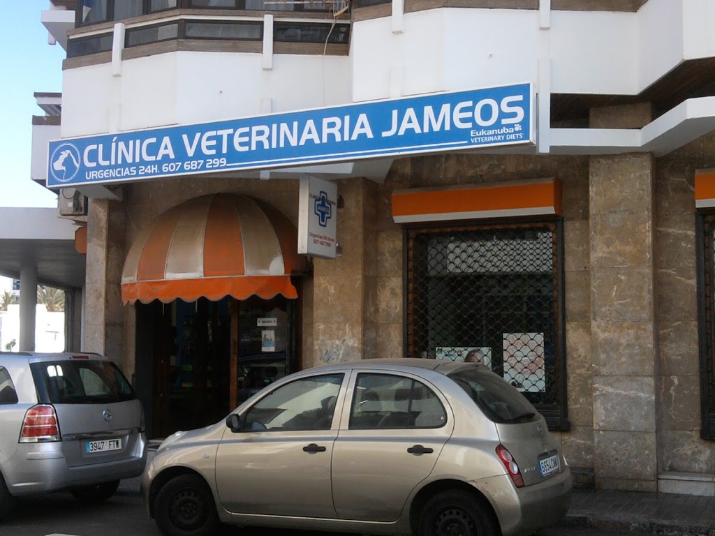 Clinica Veterinaria Jameos — Del propietario