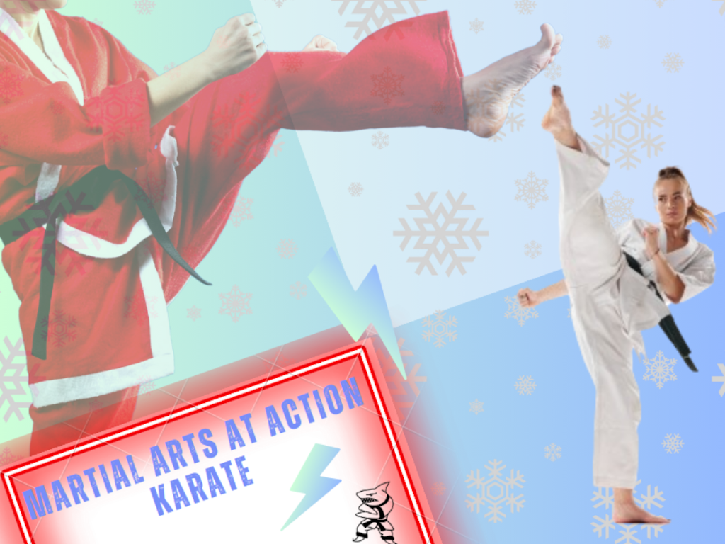  Action Karate West Chester