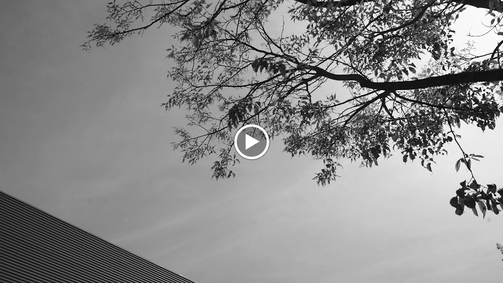 Reina Motors SL — Videos