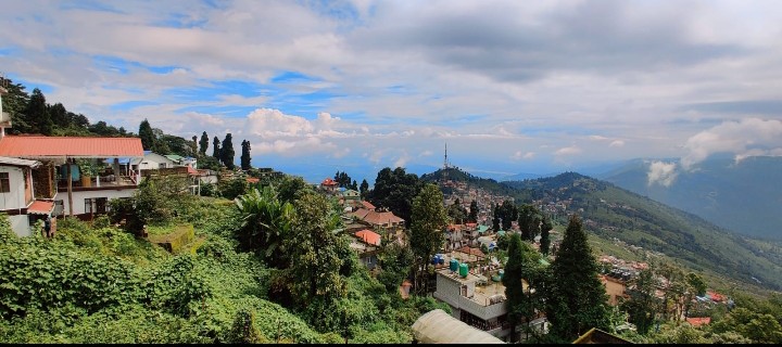Hill Grove Homestay
